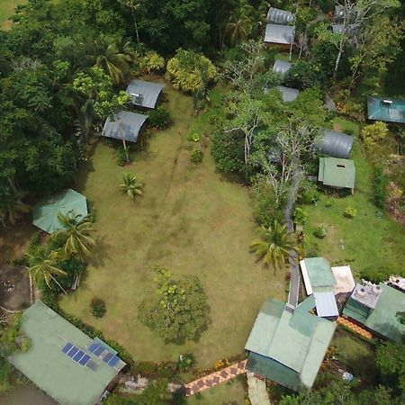 Lirio Lodge Barra de Pacuare エクステリア 写真
