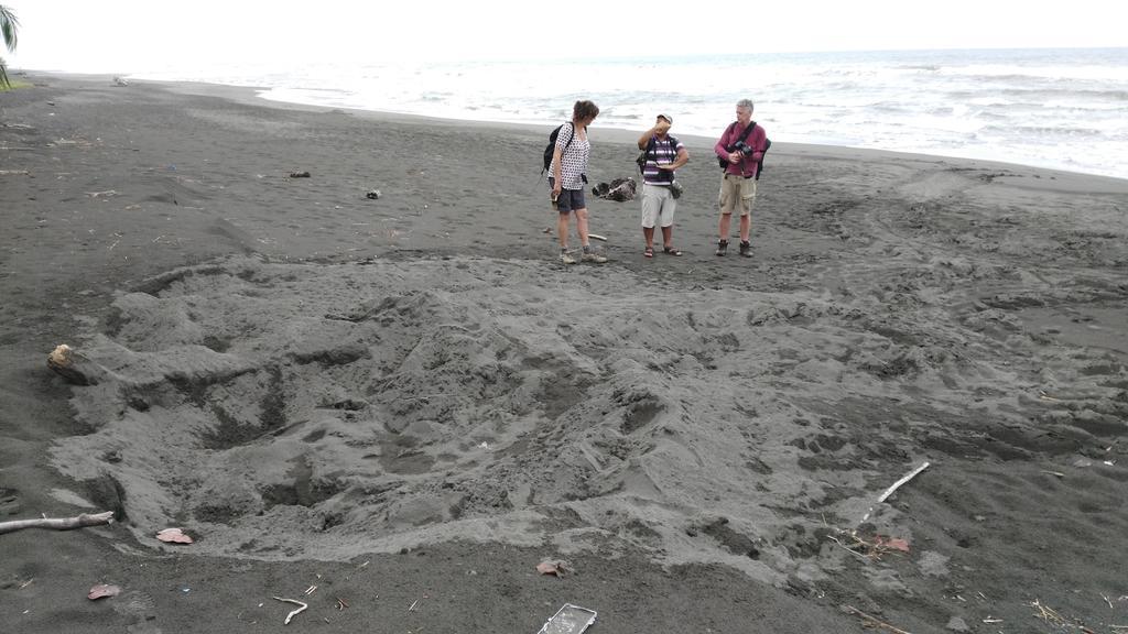 Lirio Lodge Barra de Pacuare エクステリア 写真