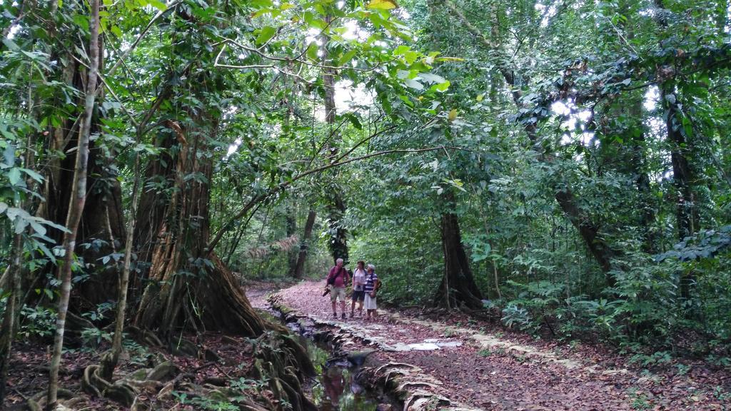 Lirio Lodge Barra de Pacuare エクステリア 写真