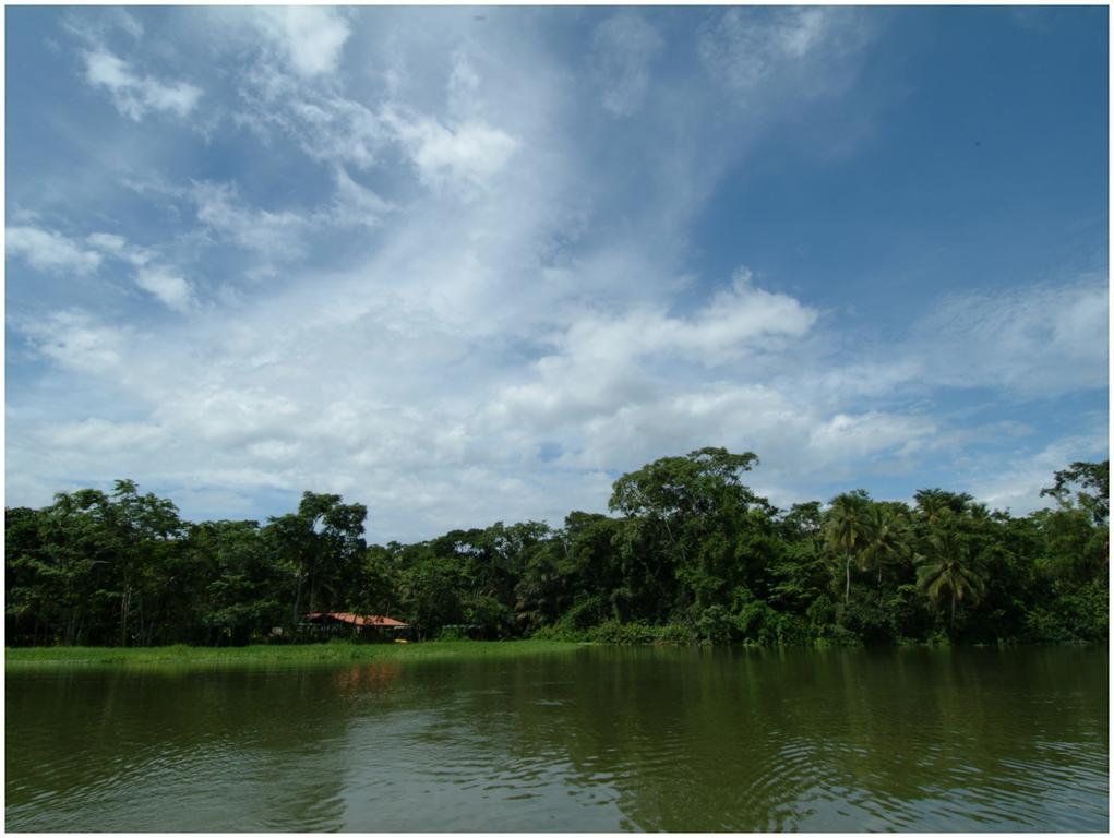 Lirio Lodge Barra de Pacuare エクステリア 写真