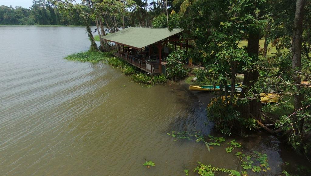 Lirio Lodge Barra de Pacuare エクステリア 写真