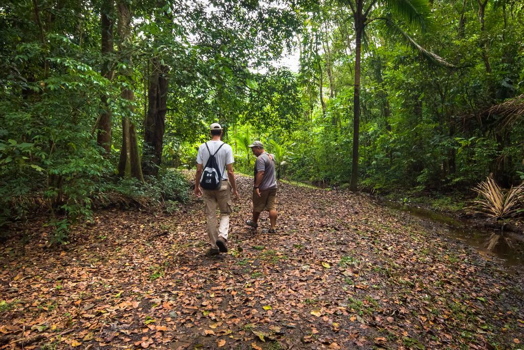 Lirio Lodge Barra de Pacuare エクステリア 写真
