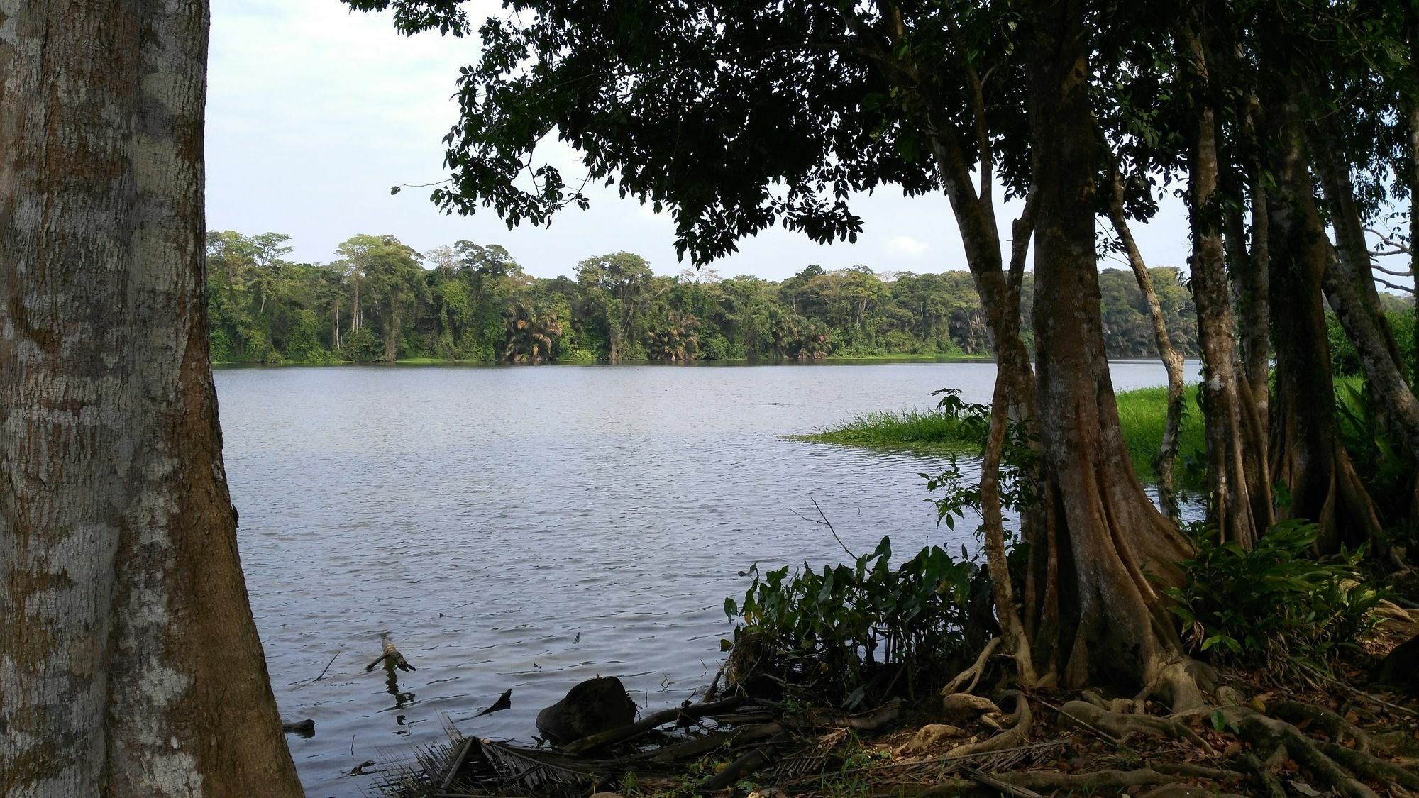 Lirio Lodge Barra de Pacuare エクステリア 写真