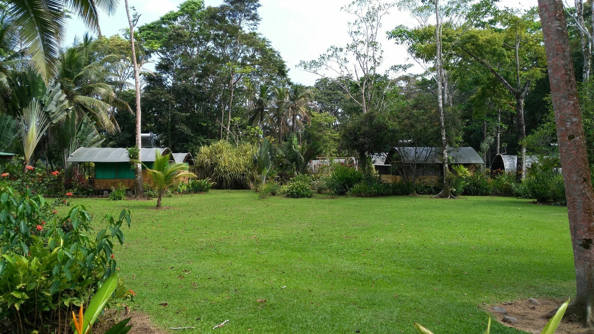 Lirio Lodge Barra de Pacuare エクステリア 写真