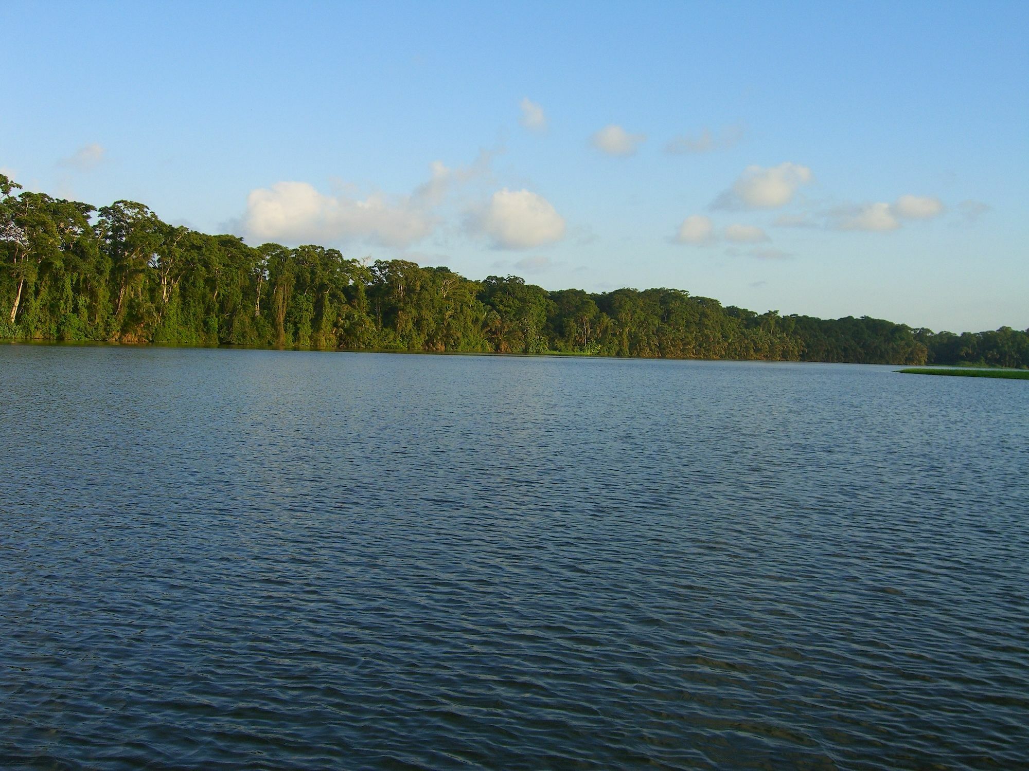 Lirio Lodge Barra de Pacuare エクステリア 写真