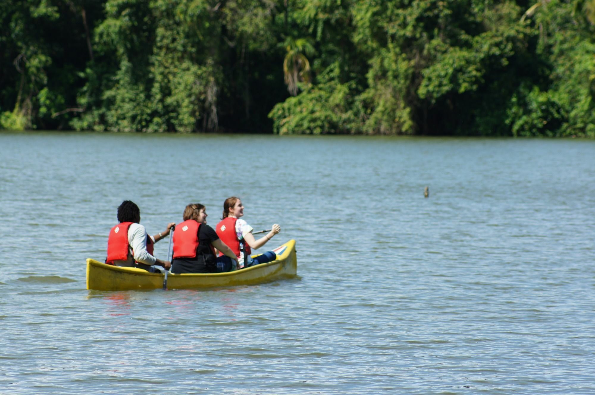 Lirio Lodge Barra de Pacuare エクステリア 写真