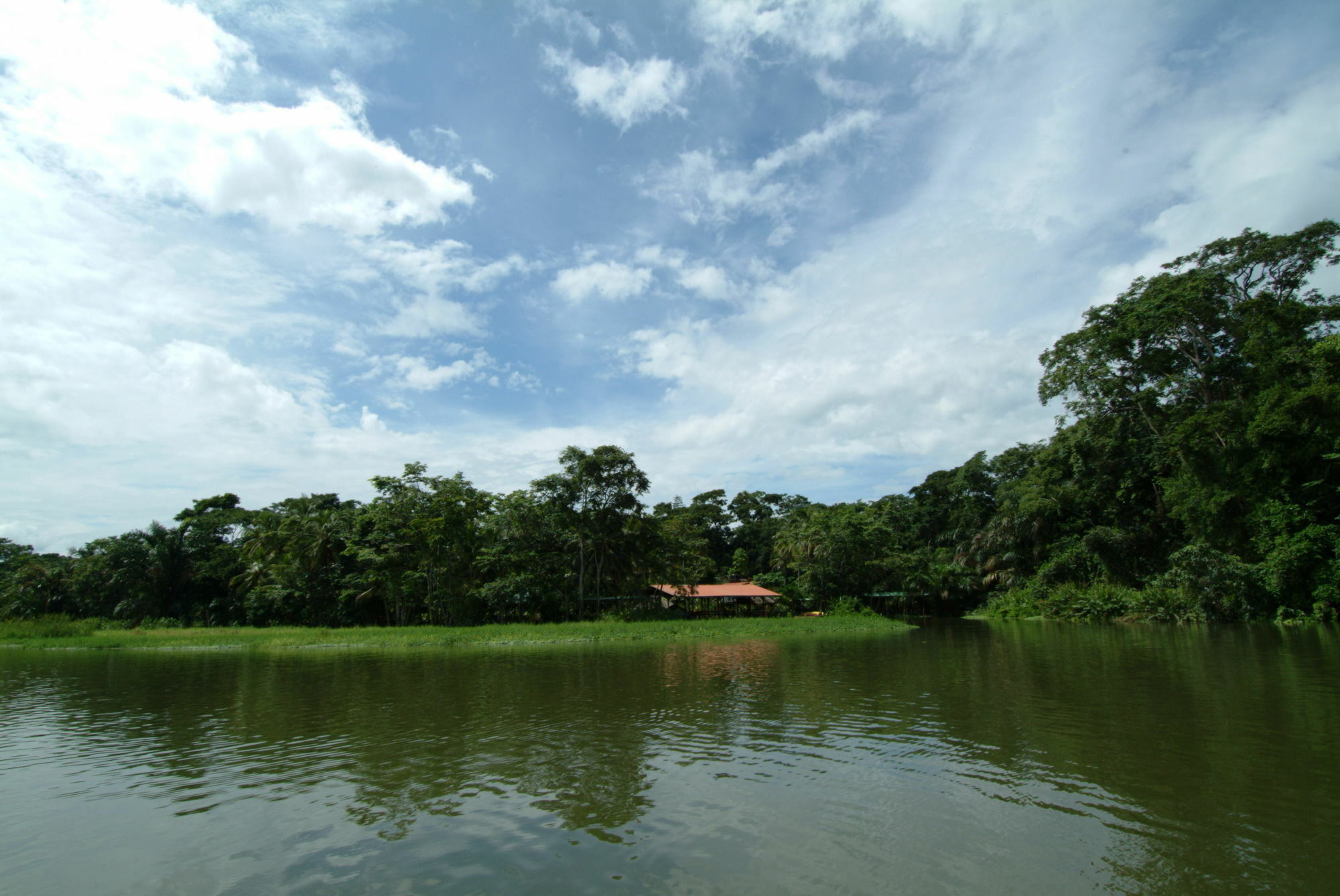 Lirio Lodge Barra de Pacuare エクステリア 写真