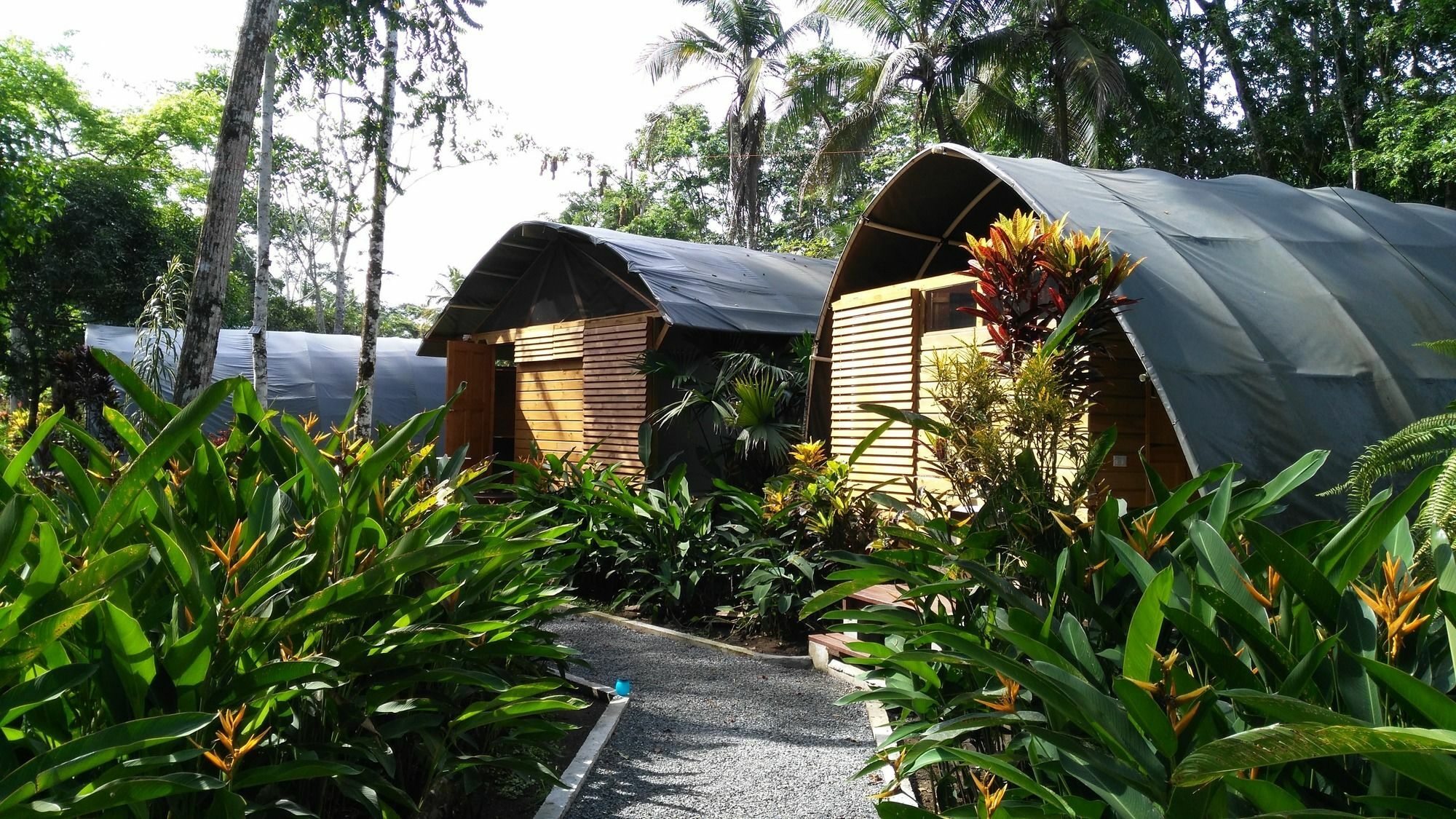 Lirio Lodge Barra de Pacuare エクステリア 写真