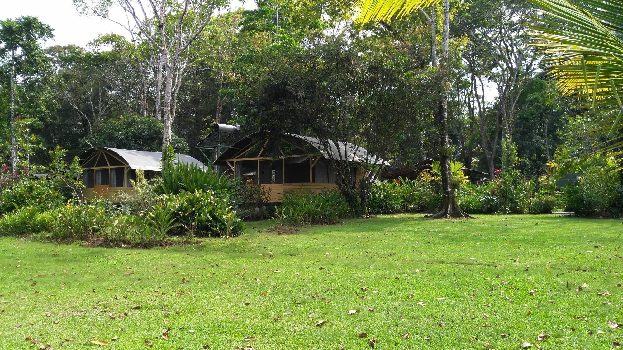 Lirio Lodge Barra de Pacuare エクステリア 写真