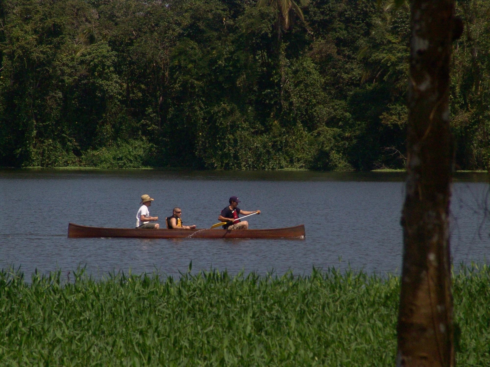 Lirio Lodge Barra de Pacuare エクステリア 写真