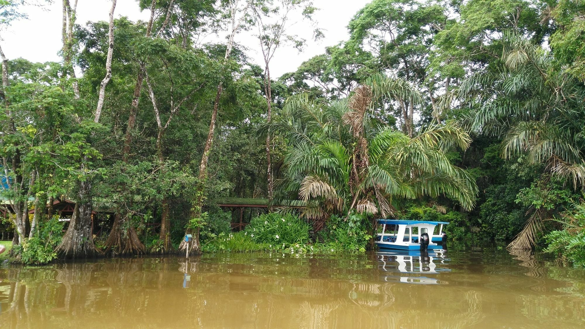 Lirio Lodge Barra de Pacuare エクステリア 写真