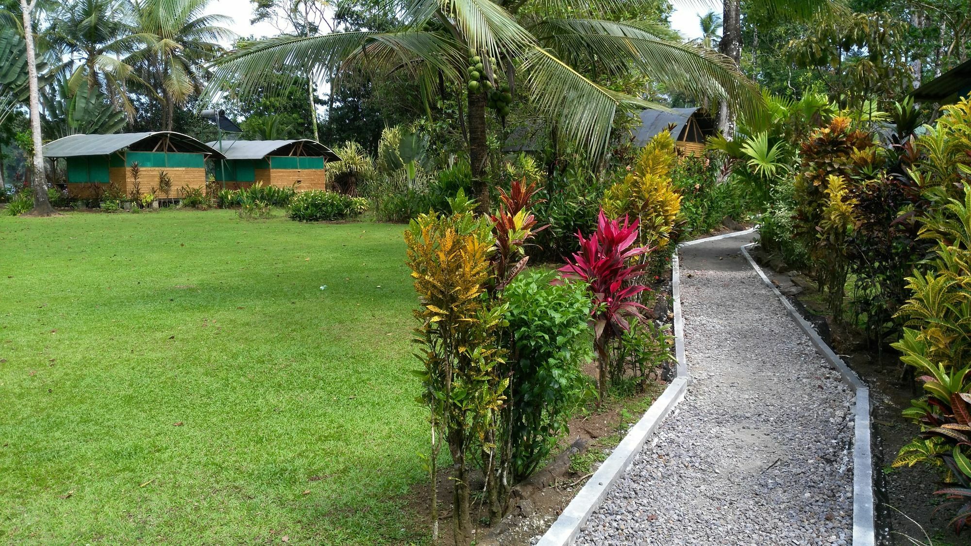Lirio Lodge Barra de Pacuare エクステリア 写真