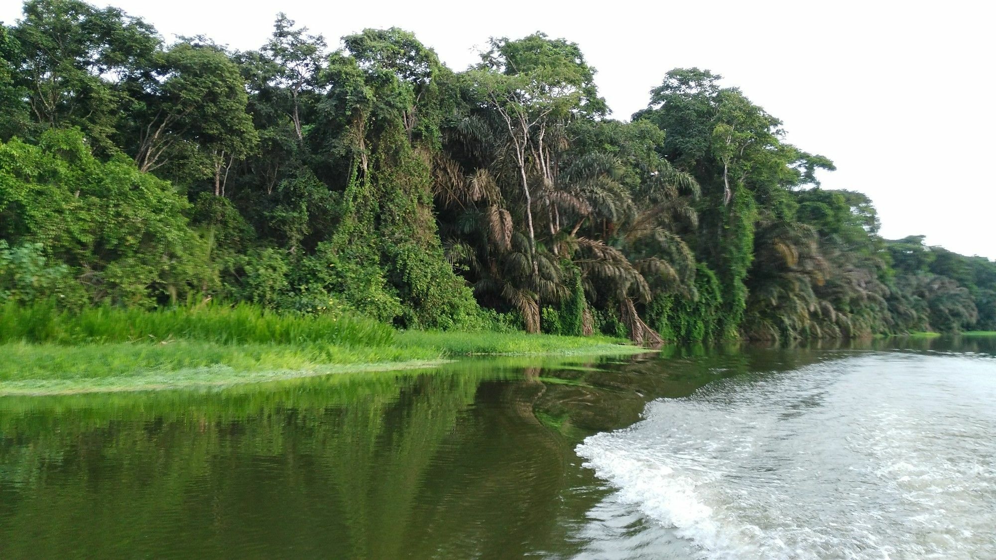 Lirio Lodge Barra de Pacuare エクステリア 写真